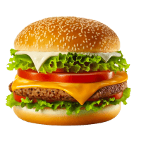 Gourmet Burger
