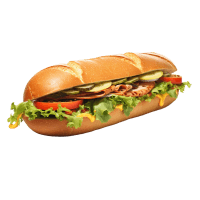 Turkey Sub